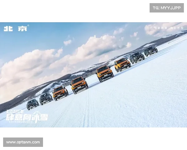 北极圈极限挑战极致滑雪登山之旅勇闯冰雪世界探索未知极寒领域 北极圈极限挑战极致滑雪登山之旅勇闯冰雪世界探索未知极寒领域
